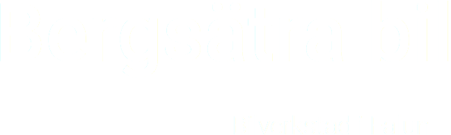 Bergsätra bil - Bilverkstad i Falun